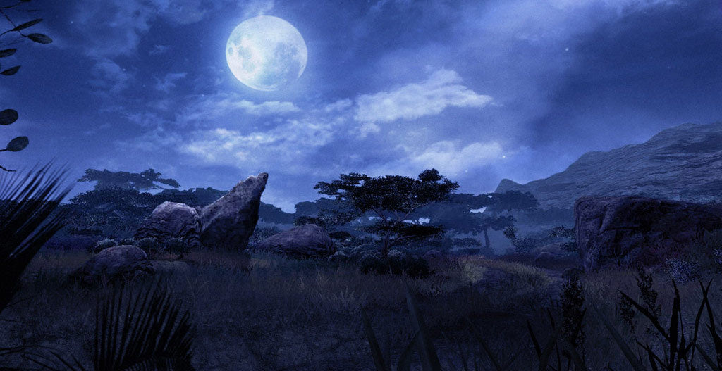 Far Cry 2 - Essentials (PlayStation 3) – játékkép 3