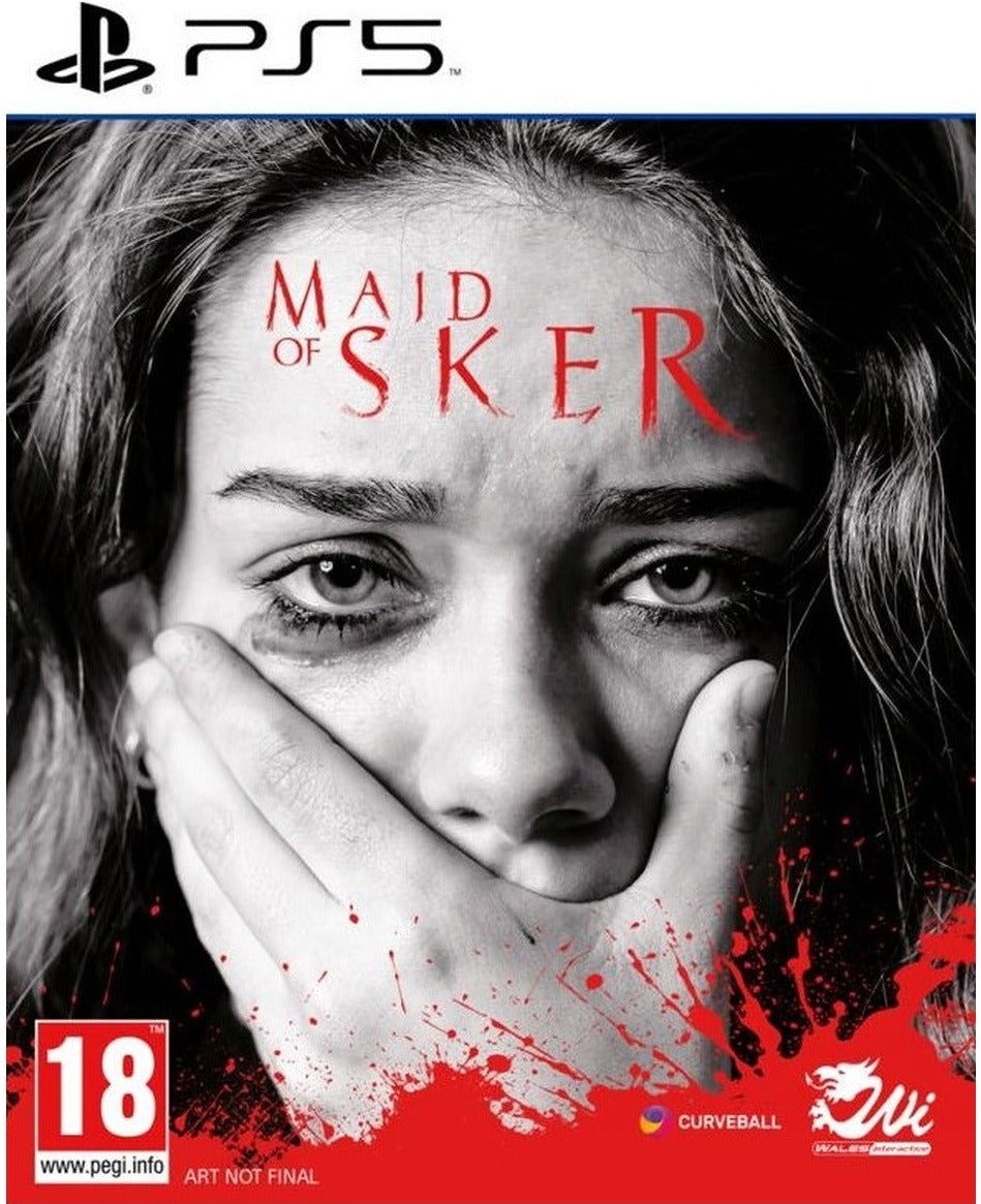 Maid of Sker PlayStation 5 game box art