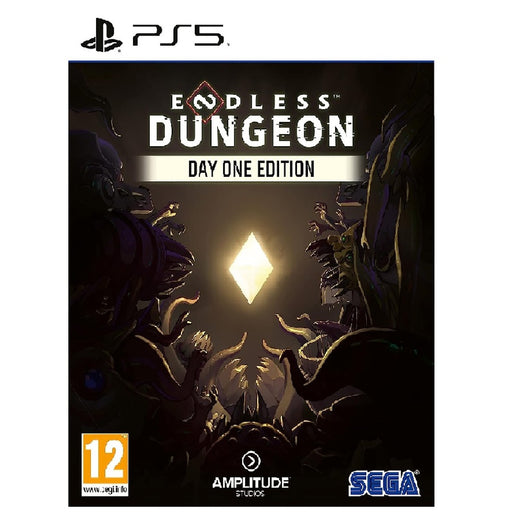 Endless Dungeon Day One Edition PlayStation 5 borító