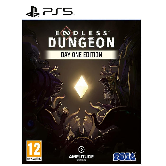Endless Dungeon Day One Edition PlayStation 5 borító