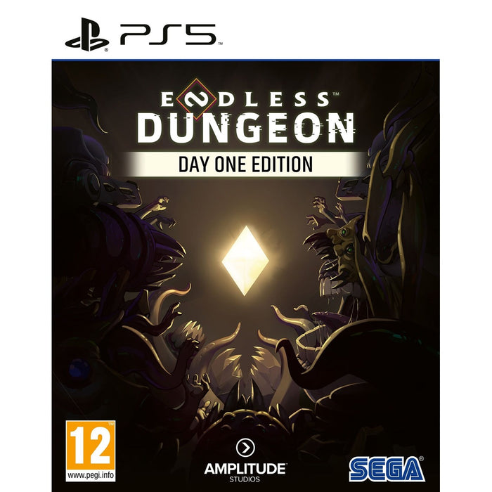 Endless Dungeon Day One Edition PlayStation 5 játék doboza