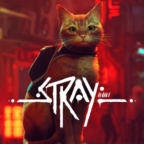 Stray (Nintendo Switch) – játékkép 2