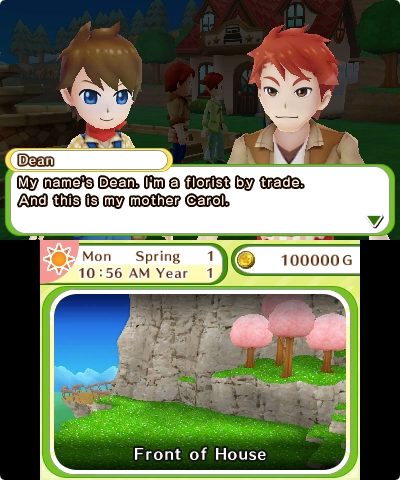 Harvest Moon: Skytree Village (Nintendo 3DS) – screenshot 4