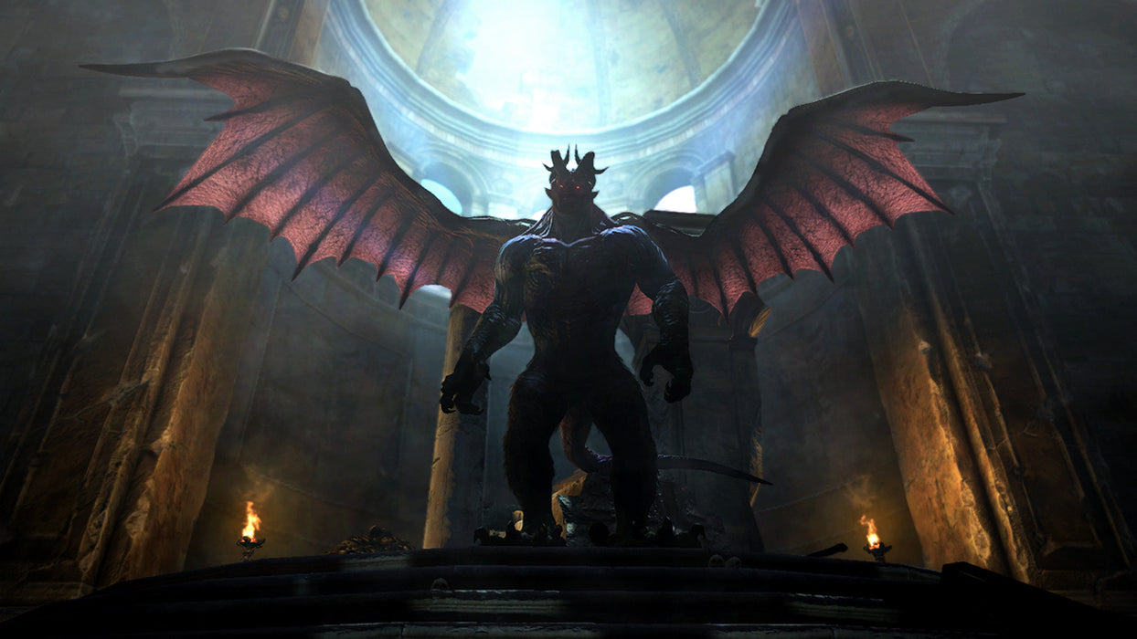 Dragon's Dogma: Dark Arisen (Nintendo Switch) (Code in a Box) – screenshot 3