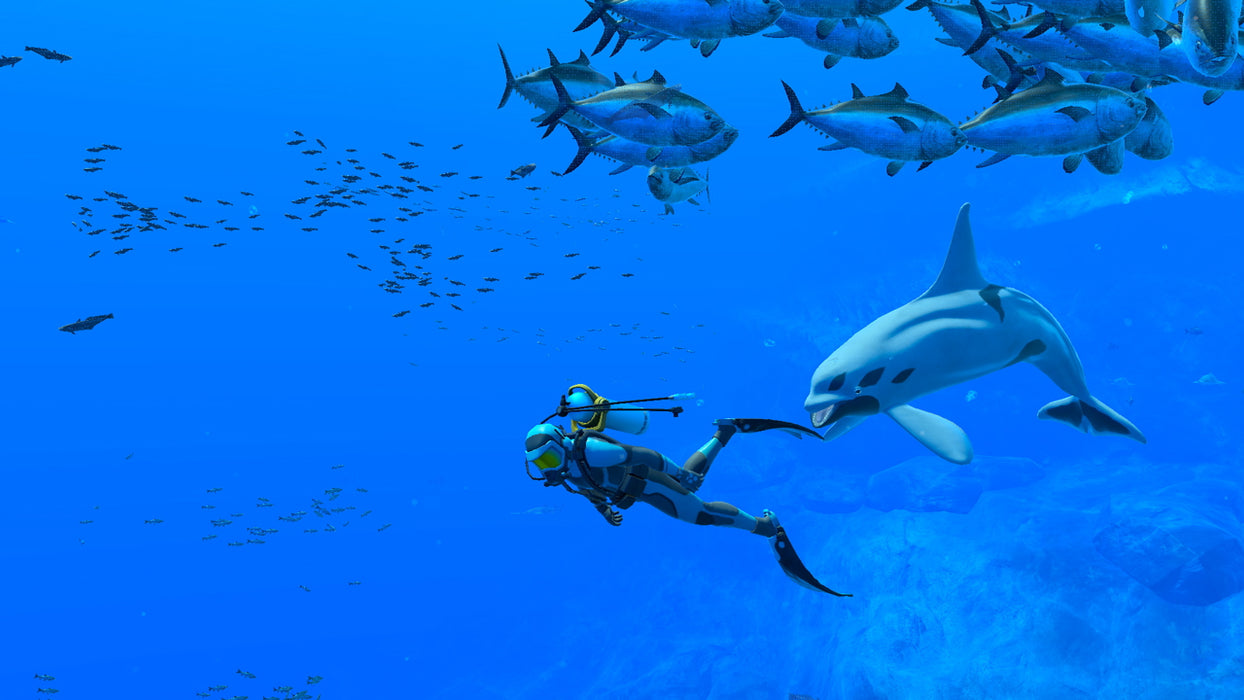 Endless Ocean Luminous (Nintendo Switch) – játékkép 1
