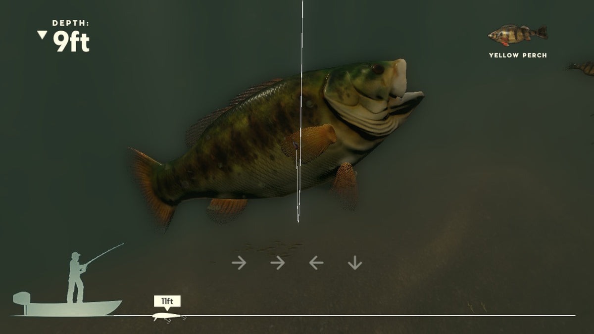 Rapala Fishing Pro Series (Nintendo Switch) (Code in Box) – screenshot 2