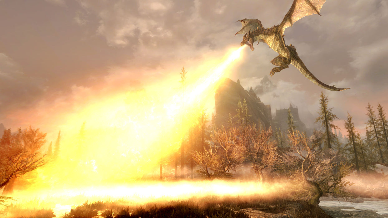 The Elder Scrolls V: Skyrim (Nintendo Switch) – screenshot 2