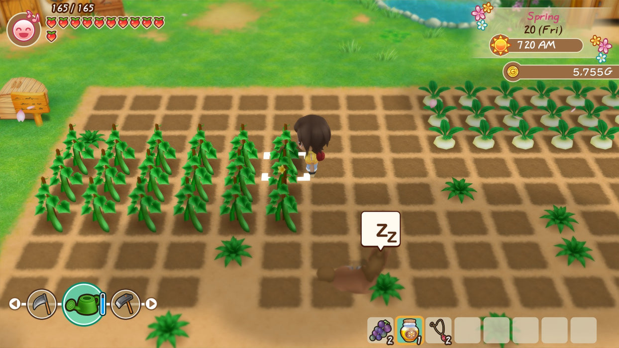 Story of Seasons: Friends of Mineral Town (PlayStation 4) – játékkép 3