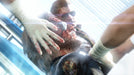 Metal Gear Solid V: The Phantom Pain (Xbox 360) – játékkép 1