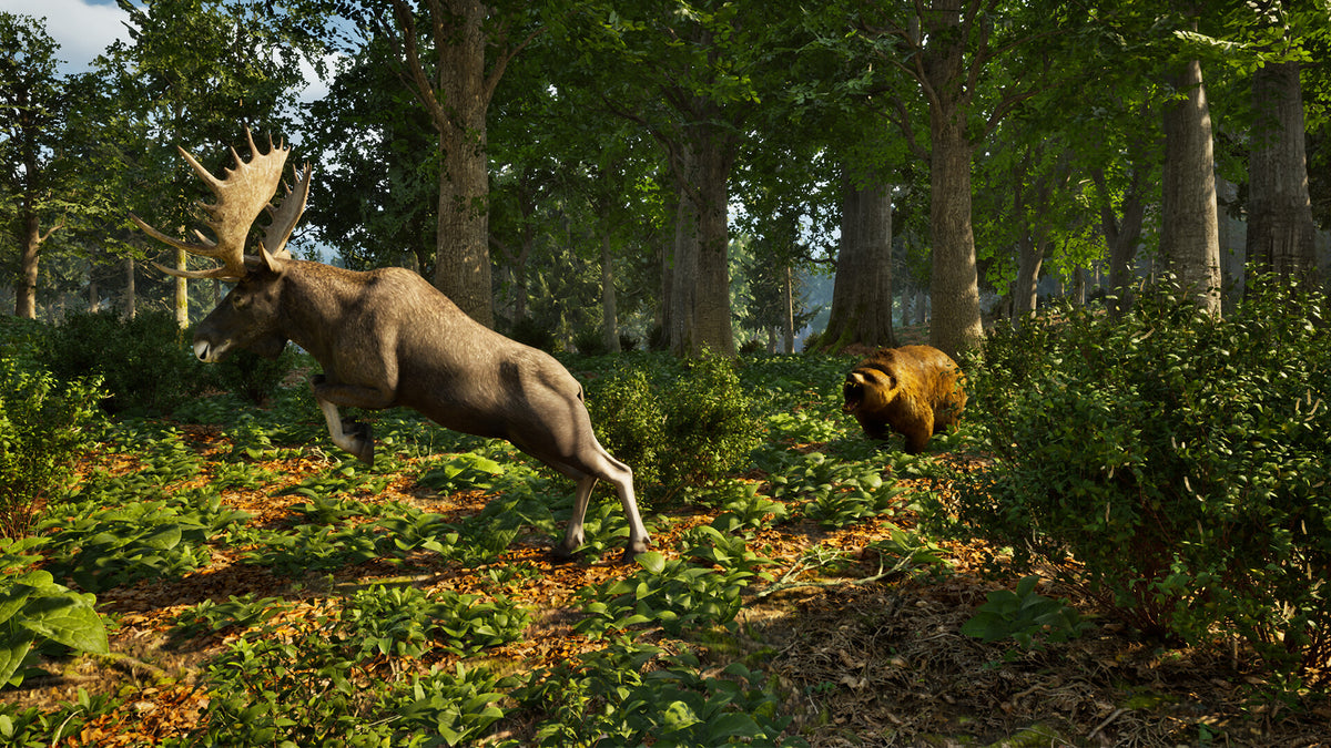 Park Ranger Simulator (PlayStation 5) – screenshot 3