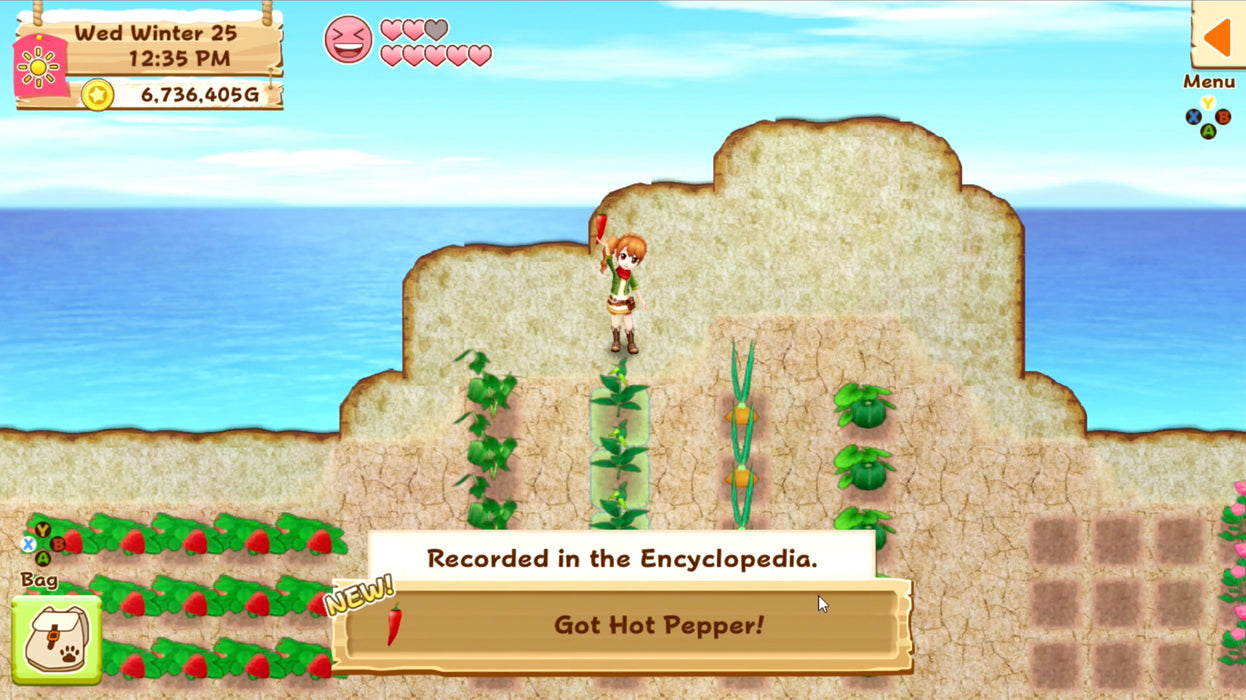Harvest Moon: Light of Hope - Complete Special Edition (PlayStation 4) – játékkép 2