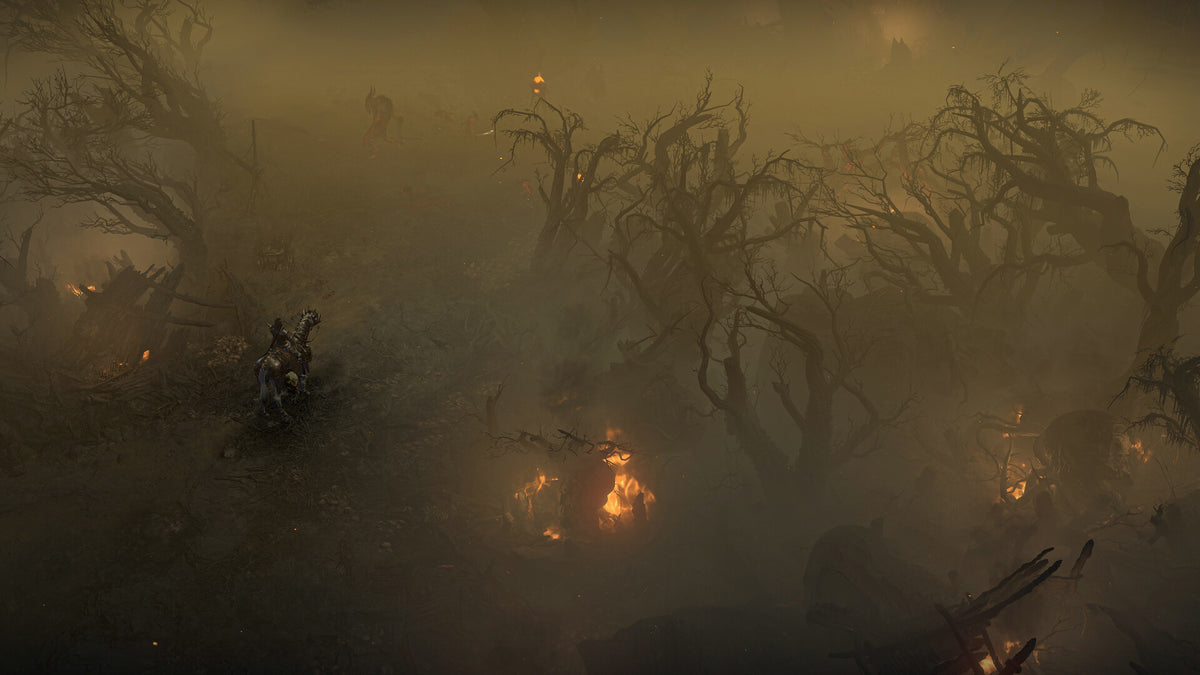 Diablo IV (PlayStation 5) – screenshot 3