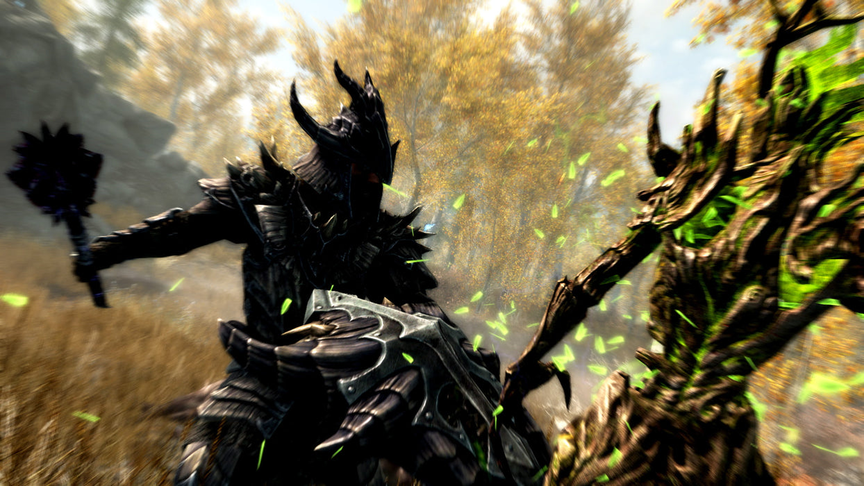 The Elder Scrolls V: Skyrim (Xbox 360) – screenshot 4
