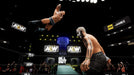 AEW: Fight Forever (PlayStation 4) – játékkép 4