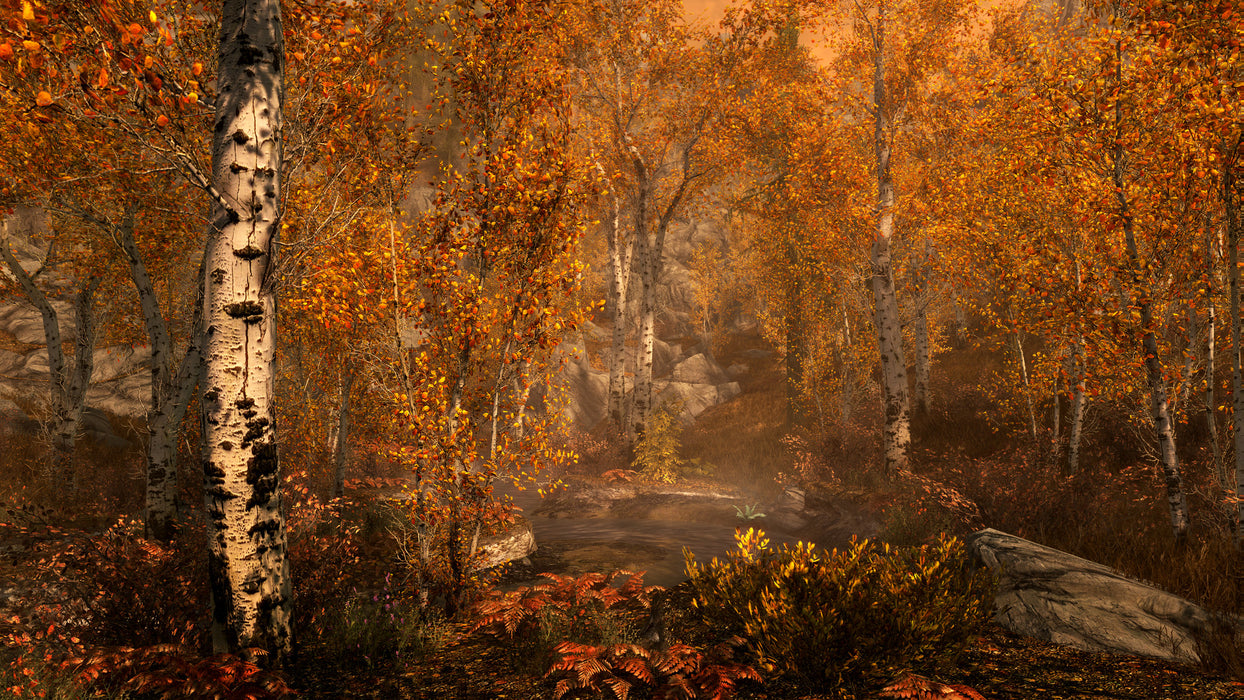 The Elder Scrolls V: Skyrim (Xbox 360) – screenshot 3
