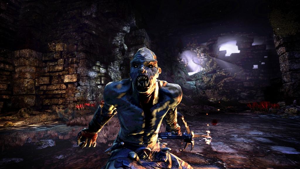 Hunted: The Demon's Forge - Special Edition (PC) – screenshot 2